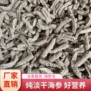 野生海参干货淡干白刺参黄玉参非即食海参海参鲜活水产干货干海参