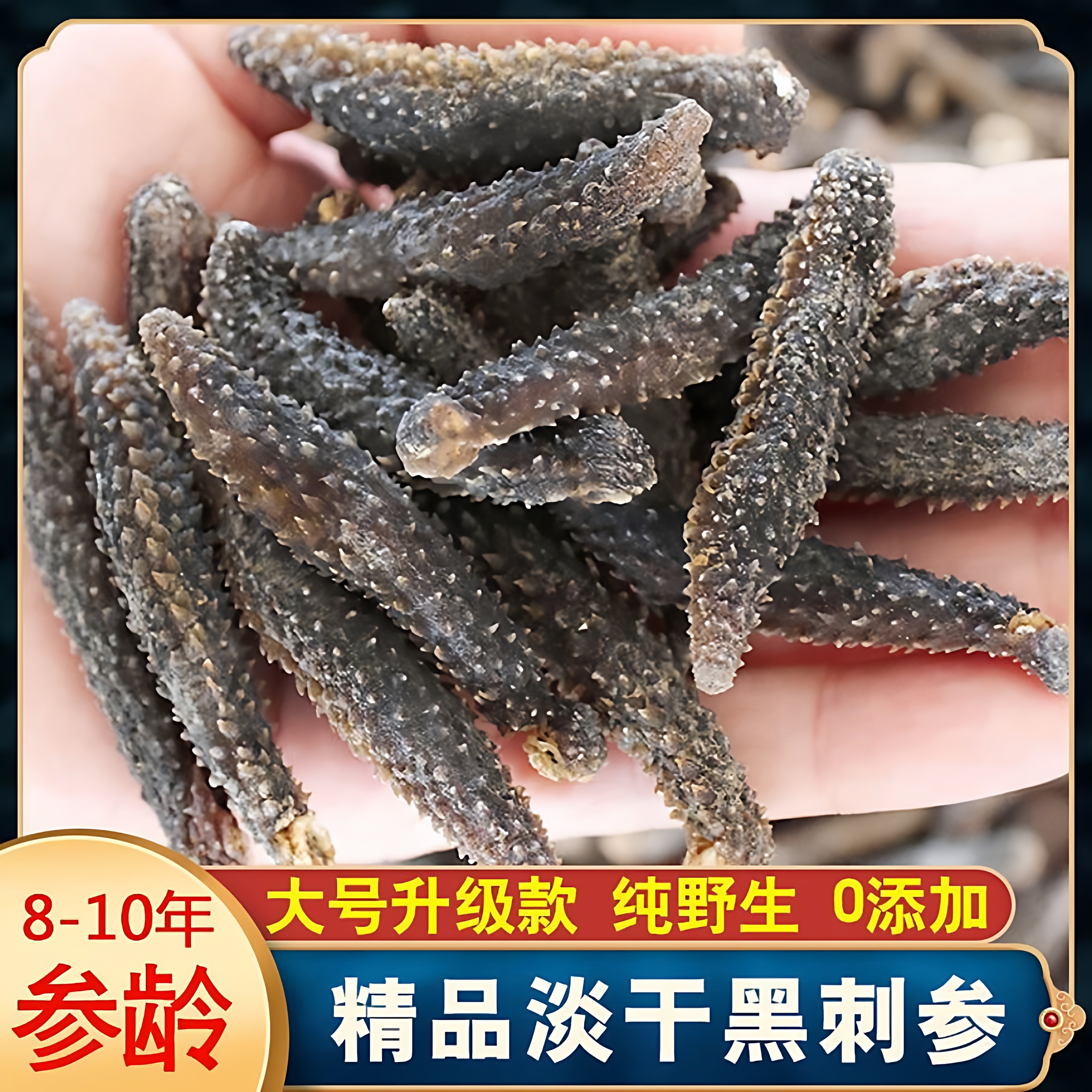 野生黑刺参海参干货500克辽参干品/即食海参