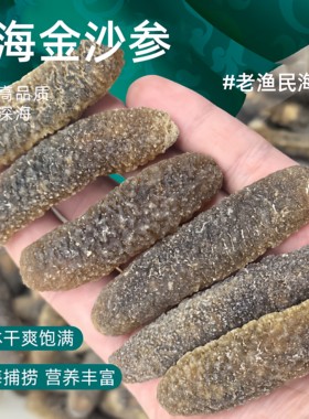 金沙参沙秃参明秃参光秃黄肉参淡干海参干货500g特价酒店礼盒商用