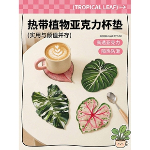 ins热带植物亚克力杯垫 实用颜值并存隔热防烫易于清洁亚克力杯垫