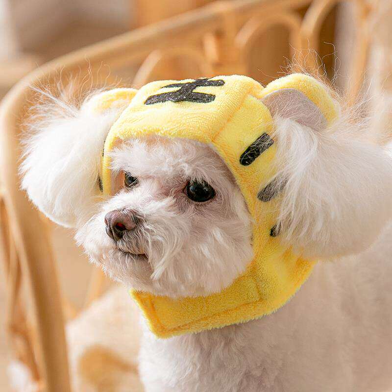 狗狗帽子露耳朵头套可小型犬泰迪雪纳瑞博美小狗爱搞笑帽宠物用品