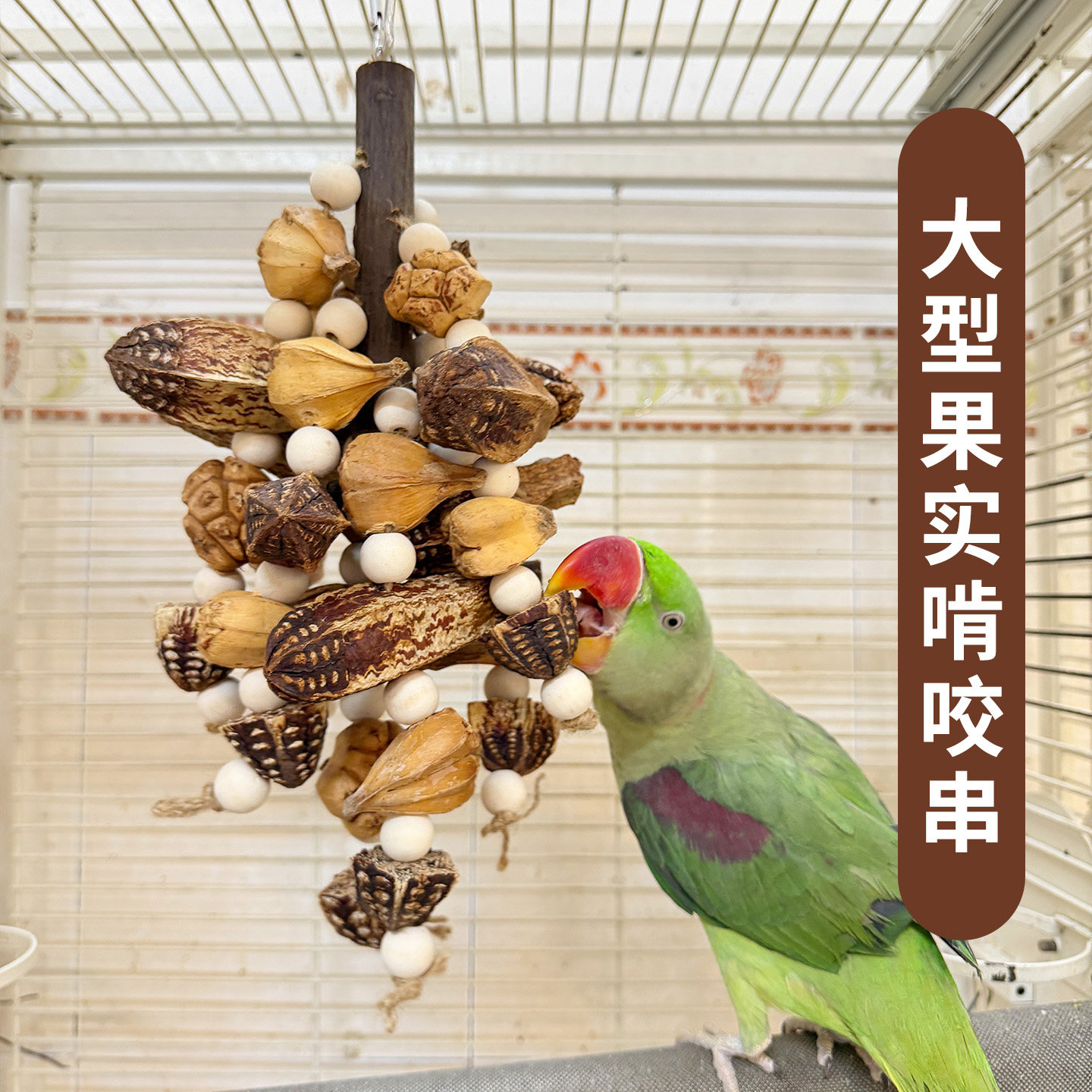 中大型鹦鹉鸟玩具缤纷啃咬大果串天然果实磨牙解闷A86,宠物/宠物食品及用品,鸟玩具,淘宝优惠券,粉丝福利购,淘宝优惠卷