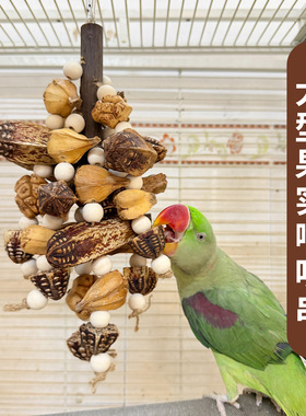 中大型鹦鹉鸟玩具缤纷啃咬大果串天然果实磨牙解闷A86