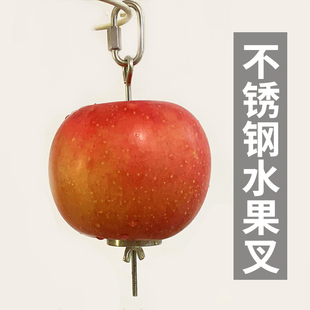 水果叉纯不锈钢鸟鹦鹉用品啃咬玩具A17
