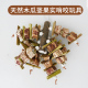 鹦鹉啃咬玩具天然烘干木瓜茎啃咬串天然果实咀嚼磨嘴解闷玩具A12