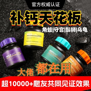 美国WILD CAL爬虫钙粉爬宠含D3钙粉肠胃调理bac守宫鬃狮维生素