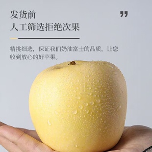 正宗山东烟台黄金奶油富士苹果新鲜水果精选营养多汁脆甜3-9斤