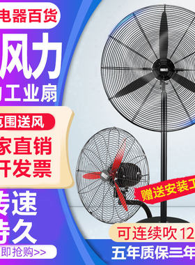 工业电风扇强力落地扇大功率挂壁扇商用摇头工厂牛角风扇吹除甲醛