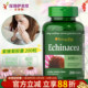 普丽普莱紫锥菊松果菊400mg200免疫力美国原装 进口Puritans Pride