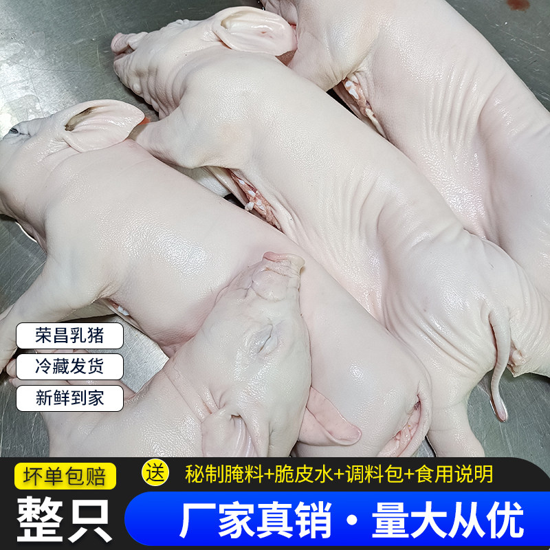 烤乳猪整只新鲜乳猪生冻脆皮猪冷冻荣昌特产小香猪小耳朵烧烤酒店