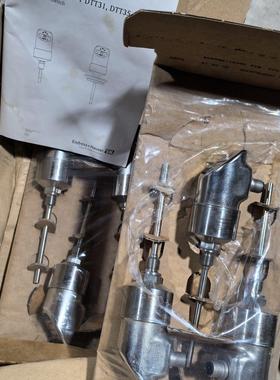 E+H流量开关D-87484