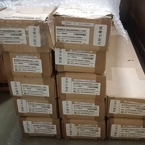 邦纳LS2TP30-600Q88-CNMW04