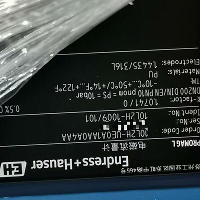 E+H PROMAG 10L2H-UE0A1AA0A4AA（