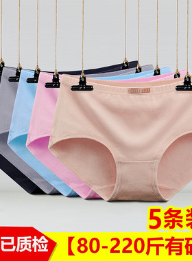 5条装中腰纯棉内裤性感全棉质面料非抗菌胖MM女士加大码三角100%