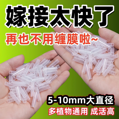 果树枝条连接3-10mm多规格软管植物嫁接套管新手种植园艺入门工具