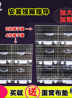 强晟鸽子笼加粗2位4位6位配对繁殖笼养殖笼巢箱家用阳台鸽笼包邮