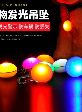 晚上遛狗狗牌彩色闪光吊坠发光灯