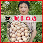 顺丰正宗九华山农家散养虫草土鸡蛋天深山慢养新鲜鸡蛋45g 60枚