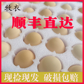 顺丰上门50枚正宗九华山现捡现发新鲜土鸡蛋农家散养农村虫草鸡蛋