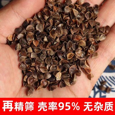 散装荞麦皮高温免洗杀菌枕头