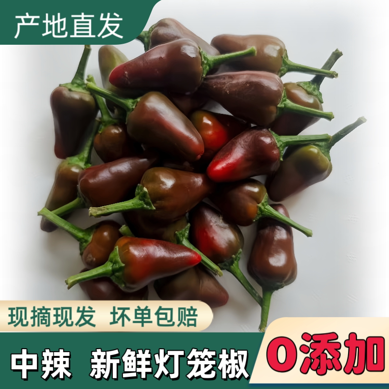 露天种植的新鲜灯笼辣椒泡椒