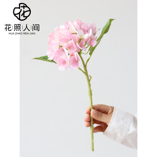 高品质小绣球仿真花手感胶片假花家居装饰摆设摄影道具花艺师配花