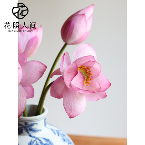 荷花仿真花新中式莲花假花高品质家居桌面摆件拍摄道具花束造景花