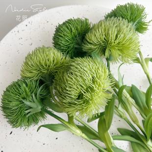 高品质绿石竹仿真花软胶假花花艺师绿色系花材摄影道具家装饰美陈