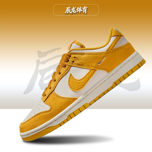 Nike/耐克女子低帮板鞋