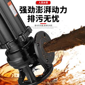 人民国标铸铁大流量潜水泵380V大功率污水泵220V家用潜水污水泵