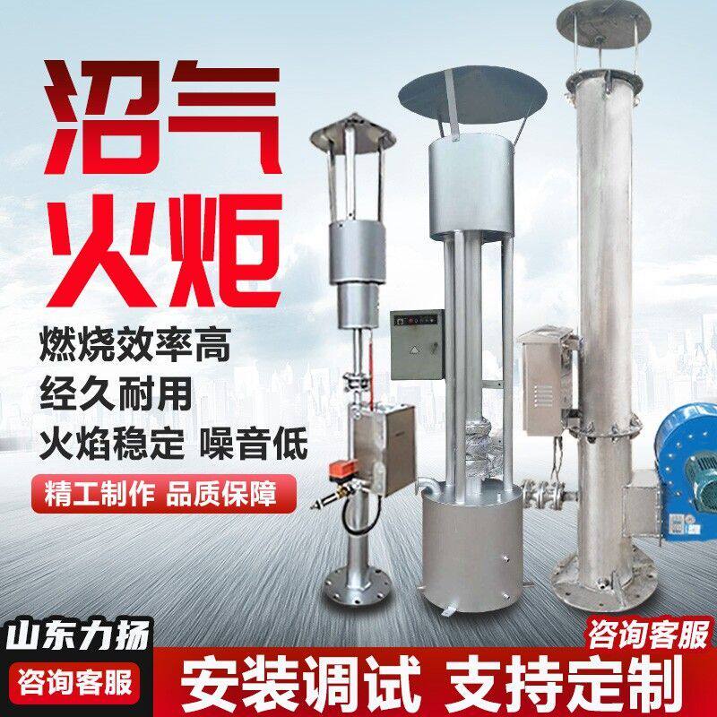 高效燃烧沼气火炬养殖场火炬验收简易火炬304不锈钢材质炉头