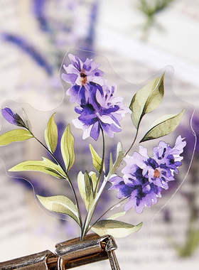 拾光自然絮语PET贴纸复古花卉花朵蘑菇仿干花树叶文艺DIY素材装饰