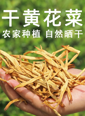 湖北孝感大悟土特产干黄花菜农家自制黄花菜干货金针菜散装干菜