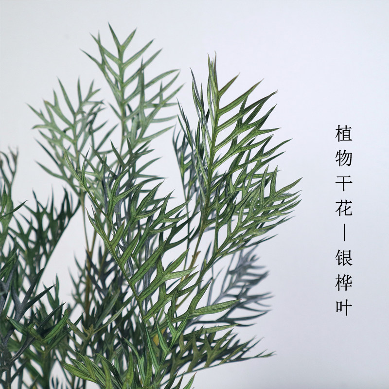 干花花束客厅摆设天然风干高级感永生进口银桦叶插花长枝装饰摆件