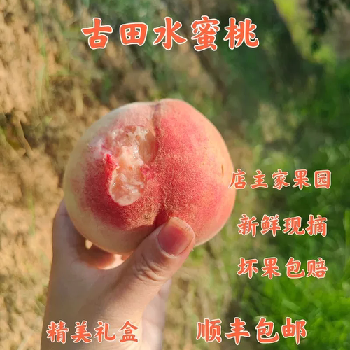 正宗古田水蜜桃朝霞水蜜桃新鲜礼盒装现摘当季水果大桃香甜礼盒