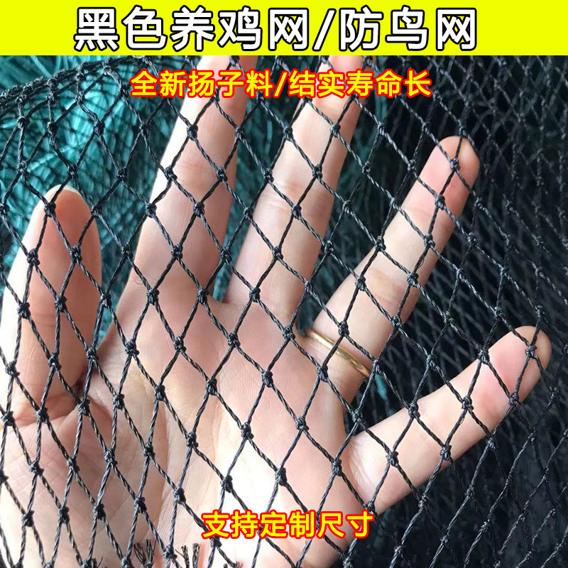 尼龙家禽养殖网户外养鸡网塑料拦鸡网菜园山鸡护栏网防鸟网