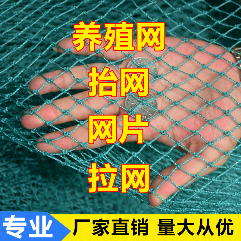 定做捕鱼网围网养殖网防鸟养鸡渔网拉网拖网清塘鱼网抬网河道网-封面