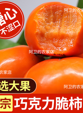 【现摘现发】正宗广西巧克力阳丰脆柿子甜柿甜脆新鲜水果当季