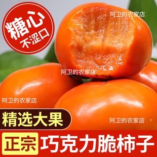 正宗广西巧克力阳丰脆柿子甜柿甜脆新鲜水果当季 现摘现发