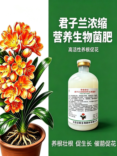 君子兰浓缩营养生物菌肥养根壮根改良盆土环境均衡促生长催箭促花