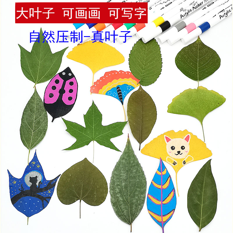 大叶子绘画写字手工diy材料包