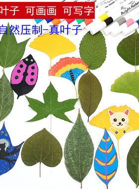 大叶子绘画写字手工diy材料包
