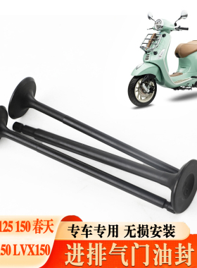 适用比亚乔LIBERTY VESPA125 150春天冲刺150 LVX150进排气门油封
