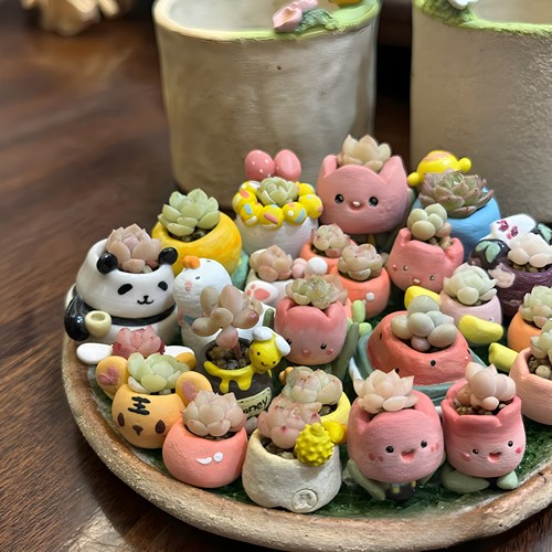 多肉绿植精品礼物名贵稀有拇指盆迷你盆栽带盆多肉植物盆栽小老桩