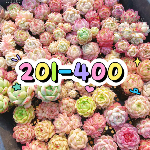 201-400两单包邮偏远除外