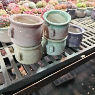 奶罐盆花盆迷你盆