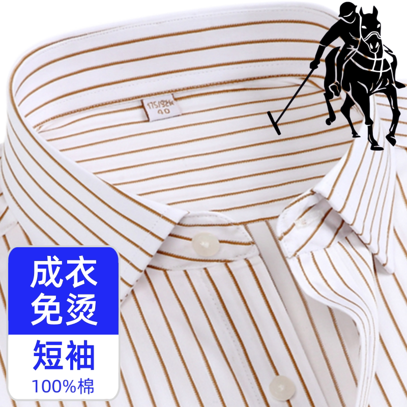 保罗大码条纹纯棉DP免烫短袖衬衫