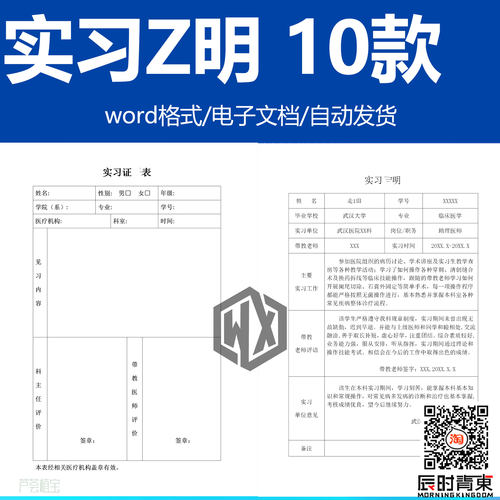 在校大学生兼职实习医院工地企业集团工作表现word范文本电子文档