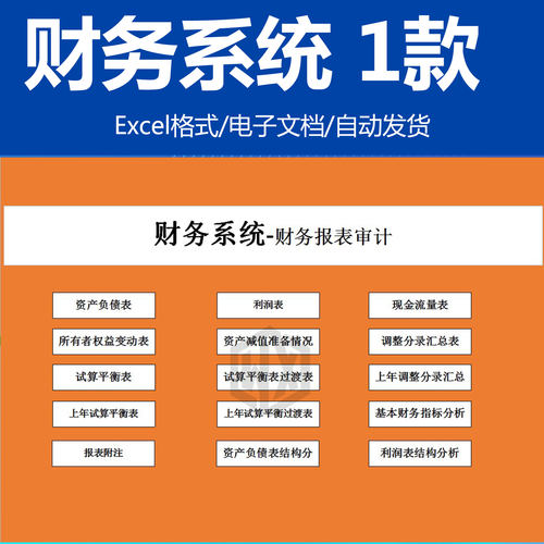 财务系统财务报表审计EXCEL电子表格模板素材 资产负债结构分析