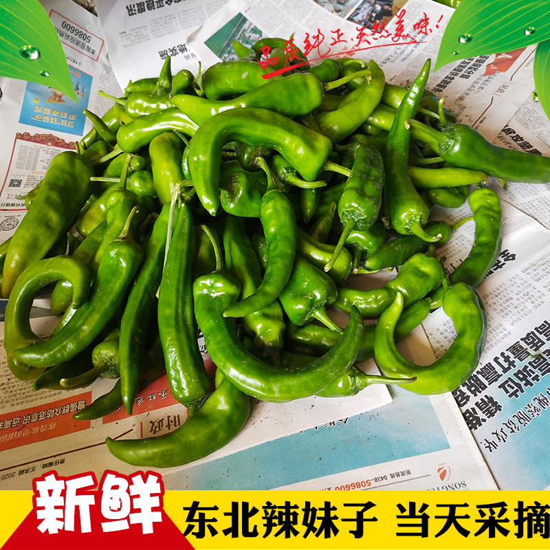 东北辣妹子辣椒特产新鲜小青辣椒尖椒正宗辣妹子嘎嘎辣农家嫩辣椒